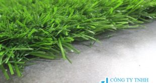 sân cỏ nhân tạo, cỏ nhân tạo, vòng loại Asian Cup, đội tuyển Việt Nam, mặt cỏ nhân tạo, sân cỏ tự nhiên,