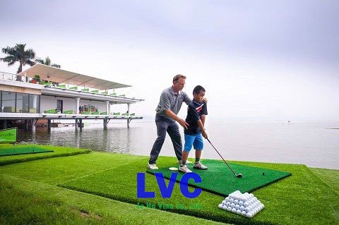 Cỏ nhân tạo sân golf, Thi công cỏ nhân tạo, Sân golf, Sân vườn, Cỏ tự nhiên