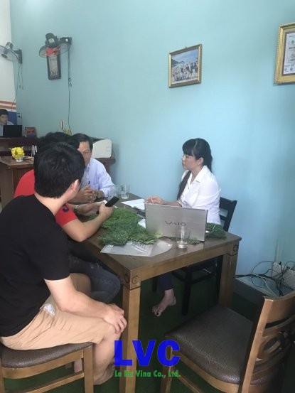 Lê Hà Vina, Cỏ nhân tạo, Cung cấp cỏ nhân tạo, Công trình cỏ nhân tạo, Mẫu cỏ