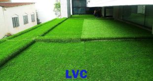 Cỏ nhân tạo giá rẻ, Cung cấp cỏ nhân tạo giá rẻ, Công ty Lê Hà Vina, Dịch vụ làm cỏ nhân tạo giá rẻ, Thi công cỏ nhân tạo giá rẻ
