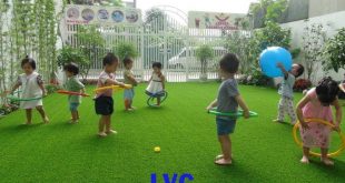 Cỏ nhân tạo sân vườn giá rẻ, Cỏ nhân tạo sân vườn, Cỏ nhân tạo, Cỏ tự nhiên, Sợi cỏ