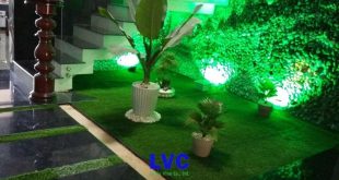 Cỏ nhân tạo sân vườn quận 3, Cỏ nhân tạo trang trí sân vườn, Cỏ nhân tạo, Cỏ nhân tạo giá rẻ, Thảm cỏ nhân tạo sân vườn