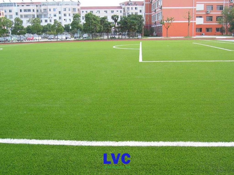 Cỏ sân bóng đá, Cỏ sân vườn, Kẹo cao su, Sân cỏ nhân tạo, Thảm cỏ