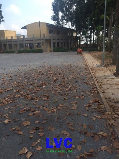 Cỏ nhân tạo, Sân cỏ nhân tạo, Trải cỏ nhân tạo, Cỏ dại, Thi công công trình cỏ nhân tạo