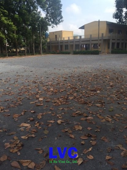 Cỏ nhân tạo, Sân cỏ nhân tạo, Trải cỏ nhân tạo, Cỏ dại, Thi công công trình cỏ nhân tạo