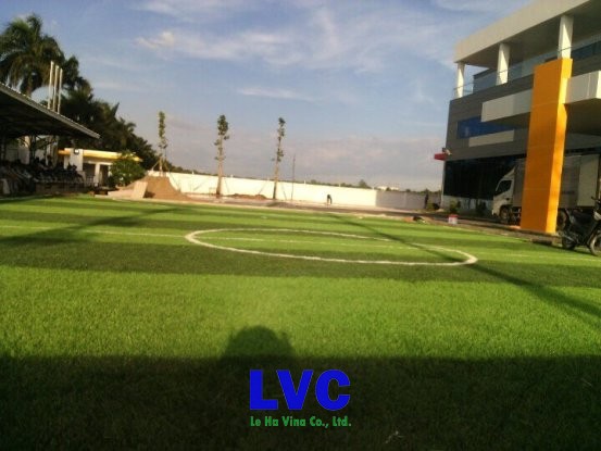 sân bóng đá, Cỏ nhân tạo sân bóng đá, Giá cỏ nhân tạo, Thảm cỏ, Công ty LeHa Vina