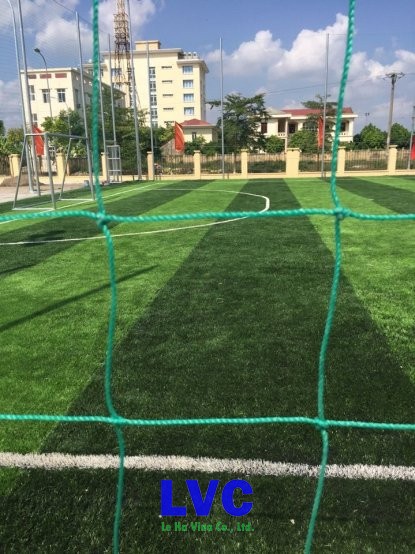 Sân bóng đá, Sân bóng đá Mê Linh, Nhập khẩu cỏ nhân tạo sân bóng đá, Cỏ trồng tự nhiên, Công ty LeHa Vina