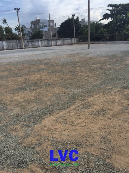 Sân bóng đá, Cỏ nhân tạo, Công ty LeHa Vina, Trải thảm cỏ, Cỏ xanh tự nhiên