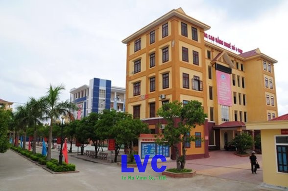 Sân thể thao, Công ty LeHa Vina, Cỏ nhân tạo nhập khẩu, Cỏ nhân tạo, Thi công cỏ nhân tạo