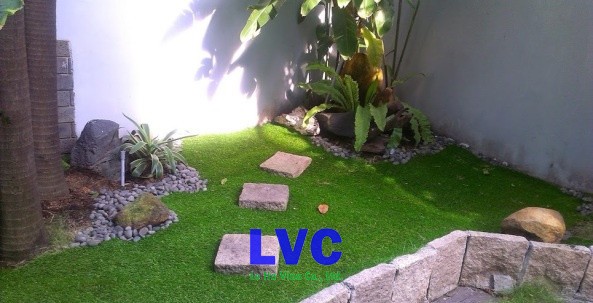 Thi công cỏ nhân tạo, Dịch vụ thi công cỏ nhân tạo, Cỏ, Công ty LeHa Vina, Cỏ tự nhiên