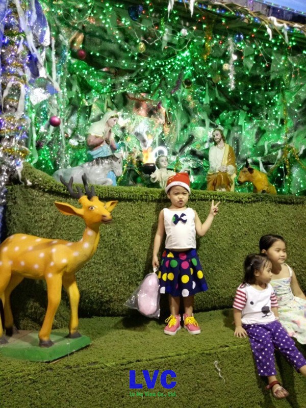 Công ty Lê Hà, Cung cấp cỏ nhân tạo cho trường mầm non, Cỏ nhân tạo, Thi công cỏ nhân tạo sân vườn, Cỏ nhân tạo của công ty Lê Hà