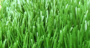 Sân bóng đá cỏ nhân tạo 5 người, Cỏ nhân tạo, Sân bóng đá, Giá làm sân bóng cỏ nhân tạo, Sân bóng