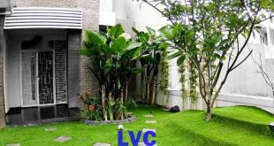 Cỏ nhân tạo trong nhà, Cỏ nhân tạo, Trang trí sân vườn, Cỏ trang trí, Sân vườn