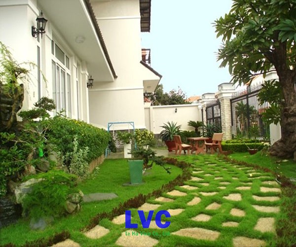 Cỏ nhân tạo trong nhà, Cỏ nhân tạo, Trang trí sân vườn, Cỏ trang trí, Sân vườn