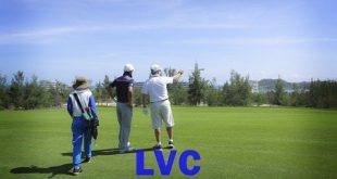 Cỏ nhân tạo sân golf, Cỏ nhân tạo, Chơi golf, Thi công cỏ nhân tạo sân golf, Sân golf mini