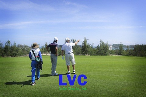 Cỏ nhân tạo sân golf, Cỏ nhân tạo, Chơi golf, Thi công cỏ nhân tạo sân golf, Sân golf mini