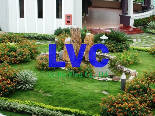 Thảm cỏ nhân tạo sân vườn, Thảm cỏ nhân tạo, Mua thảm cỏ nhân tạo sân vườn, Công ty Lê Hà Vina, Cỏ nhân tạo sân vườn