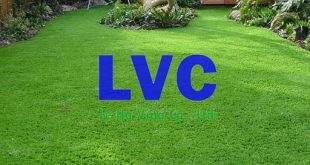 Thảm cỏ nhân tạo giá bao nhiêu, Cung cấp thảm nhân tạo, Công ty Lê Hà Vina, Bán thảm cỏ nhân tạo, Mua thảm cỏ nhân tạo