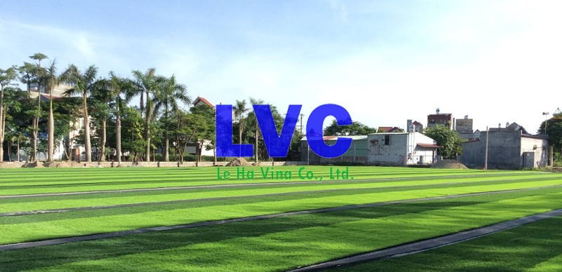 bán cỏ nhân tạo Hải Phòng, Cỏ nhân tạo Hải Phòng, Cỏ nhân tạo, Cỏ tự nhiên, Địa chỉ bán cỏ nhân tạo Hải Phòng