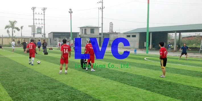 Cỏ nhân tạo tại An Giang, Cỏ nhân tạo chất lượng, Cỏ nhân tạo, Công ty Lê Hà Vina, Bán cỏ nhân tạo tại An Giang