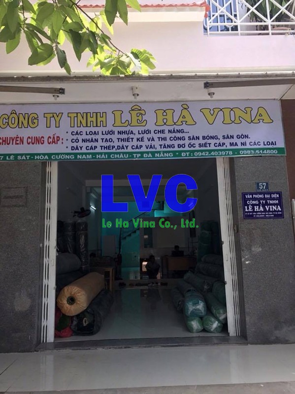 Lê Hà Vina, Cỏ nhân tạo, Lưới chắn bóng, Thi công cỏ nhân tạo, Sân bóng cỏ nhân tạo