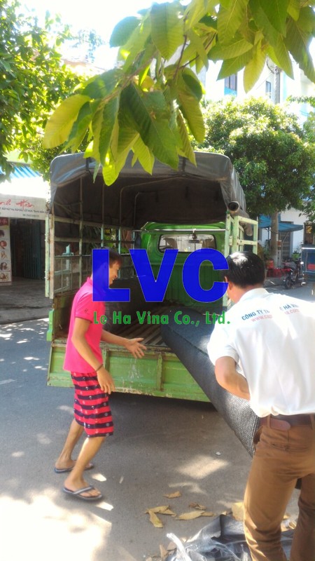 Cuộn cỏ nhân tạo, Thi công cỏ nhân tạo, Công ty Lê Hà Vina, Cỏ nhân tạo, Cỏ tự nhiên