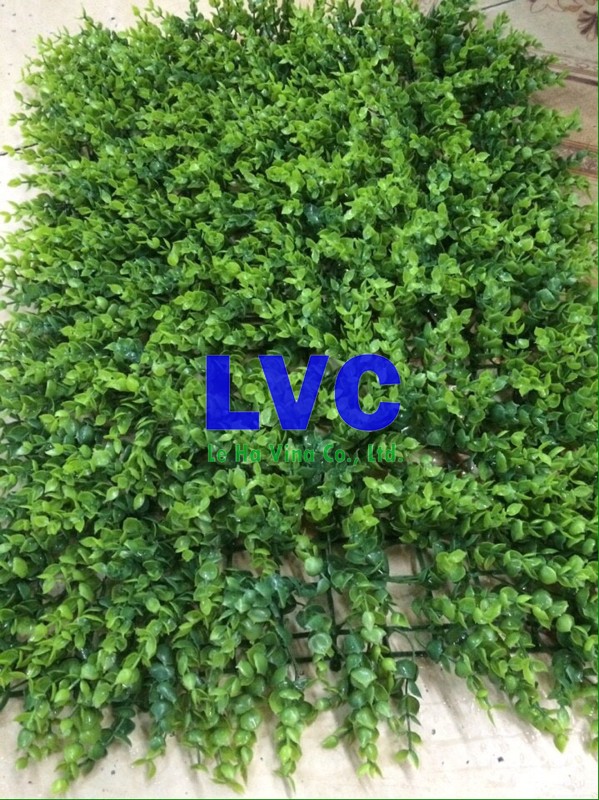 Cỏ nhựa dán tường, Cỏ tự nhiên, Cỏ nhựa, Công ty Lê Hà Vina, Cỏ dán tường, Lê Hà Vina