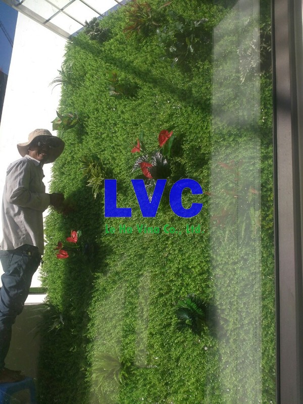 Cỏ nhựa dán tường, Cỏ tự nhiên, Cỏ nhựa, Công ty Lê Hà Vina, Cỏ dán tường, Lê Hà Vina