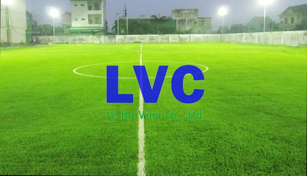 Cỏ sân bóng, Cỏ nhân tạo sân bóng, Công ty Lê Hà Vina, Sản phẩm cỏ nhân tạo, Cỏ tự nhiên