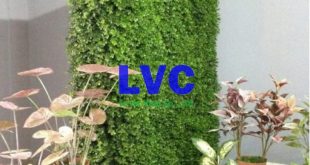 Tấm cỏ nhựa treo tường, Địa chỉ bán tấm cỏ nhựa treo tường, Cỏ nhựa treo tường, Cỏ nhựa