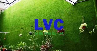 Thảm cỏ dán tường, Công ty Lê Hà Vina, Cỏ dán tường, Cỏ tự nhiên, Thảm cỏ