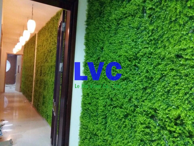Thảm cỏ dán tường, Công ty Lê Hà Vina, Cỏ dán tường, Cỏ tự nhiên, Thảm cỏ