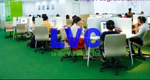 thảm cỏ lót sàn, Đầu tư thảm cỏ lót sàn, Thảm lót gạch, Công ty Lê Hà Vina