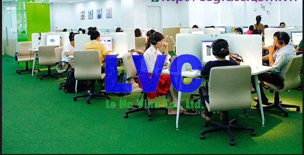 thảm cỏ lót sàn, Đầu tư thảm cỏ lót sàn, Thảm lót gạch, Công ty Lê Hà Vina