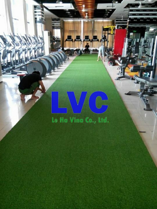 thảm cỏ lót sàn, Đầu tư thảm cỏ lót sàn, Thảm lót gạch, Công ty Lê Hà Vina