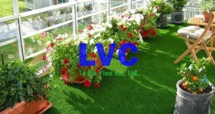 Thảm cỏ nhân tạo, Công ty Lê Hà Vina, Cỏ nhân tạo, Cỏ tự nhiên, Địa chỉ bán thảm cỏ nhân tạo