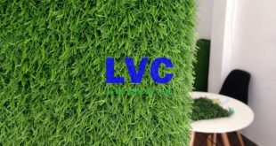 Thảm cỏ nhân tạo dán tường, Sản phẩm cỏ nhân tạo, Công ty Lê Hà Vina, Cỏ nhân tạo trang trí, Cỏ nhân tạo dán tường