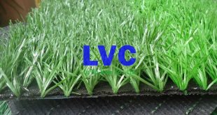 Thảm cỏ trải sàn, Thảm cỏ trải sàn phòng tắm, Thảm cỏ trải sàn nhà tắm, Công ty Lê Hà Vina, Cỏ trải sàn