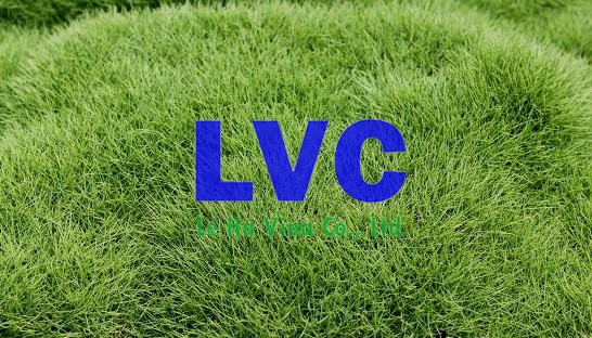 Thế giới cỏ nhân tạo, Lê Hà Vina, Sản phẩm cỏ nhân tạo, Loại cỏ nhân tạo, Trải cỏ nhân tạo