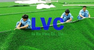 Sân bóng đá cỏ nhân tạo, Công ty Lê Hà Vina, Thi công sân bóng đá cỏ nhân tạo, Cỏ nhân tạo, Thảm cỏ