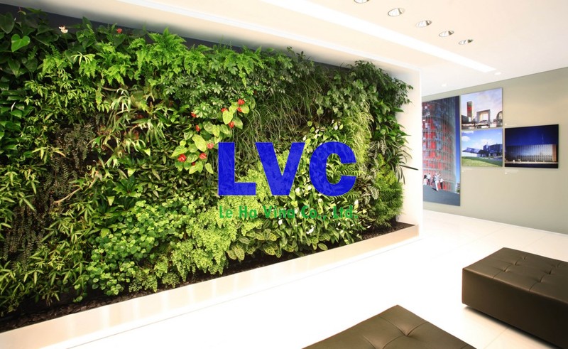 Báo giá tường cây giả, Tường cây giả, Thi công tường cây giả, Cây giả, Trang trí tường cây giả