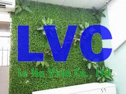 Thảm cỏ treo tường, Công ty Lê Hà Vina, Thảm cỏ, Cỏ treo tường, Sản phẩm thảm cỏ treo tường