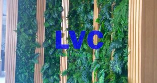 Thảm cỏ treo tường, Công ty Lê Hà Vina, Thảm cỏ, Cỏ treo tường, Sản phẩm thảm cỏ treo tường