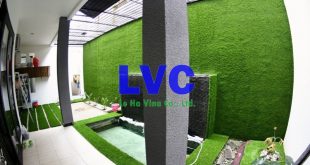 Thi công ốp tường, Công ty Lê Hà Vina, Cỏ nhân tạo, Cỏ nhân tạo để ốp tường, Cỏ tự nhiên