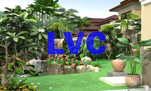 Cỏ trồng trong nhà, Cây cỏ nhân tạo, Cây cỏ tự nhiên, Cây cỏ