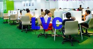 Thảm nhựa trải sàn Hà Nội, Thảm nhựa trải sàn, Công ty Lê Hà Vina, Địa chỉ bán thảm nhựa trải sàn Hà Nội, Thảm cỏ xanh