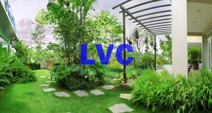 Thi công sân vườn, Thảm cỏ sân vườn, Cỏ nhân tạo sân vườn, Cỏ sân vườn, Không gian sân vườn