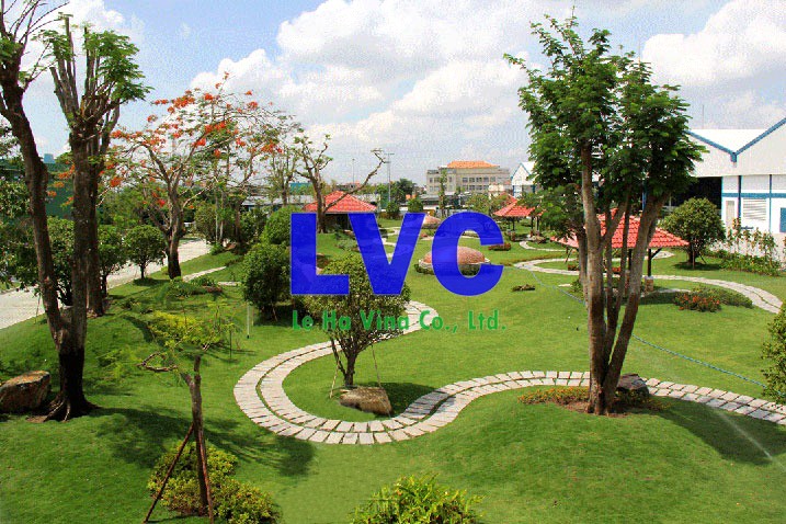 Thi công sân vườn, Thảm cỏ sân vườn, Cỏ nhân tạo sân vườn, Cỏ sân vườn, Không gian sân vườn