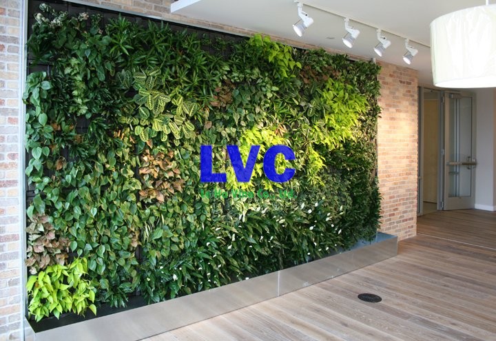 Tường cây giả trong nhà, Thiết kế tường giả cây xanh, Vách tường cây giả, Vách cỏ nhân tạo, Tường cây giả