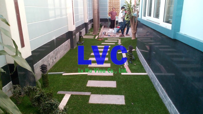 Cỏ nhân tạo, Cỏ nhân tạo của Lê Hà Vina, Thảm cỏ nhân tạo, Lê Hà Vina, Cỏ nhựa